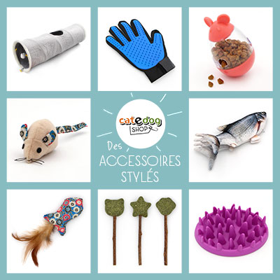 boutique-catedog-chats