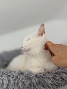 573353892 18027944249751236 8411791760472181489 n