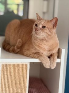 574173684 18028250396751236 5186745770544811041 n