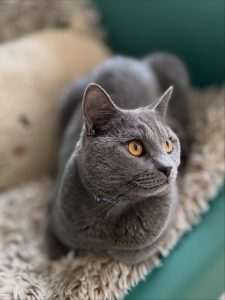 575296979 18028249610751236 7337236929741749140 n