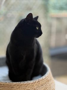 576080734 18028450406751236 4536191736697415499 n