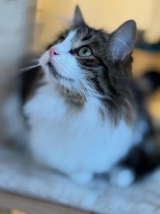 576112871 18030127445751236 7435471536984699419 n