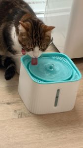 580964865 18028452098751236 8876319967561529457 n