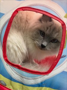 581109930 18028451399751236 8944821943205357975 n