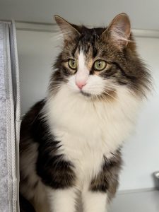 581181338 18028740683751236 5769179308992871197 n