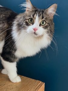 581221120 18028641698751236 7005397315954966627 n