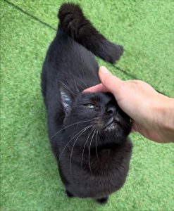 581476971 18028945862751236 1623257005701933188 n