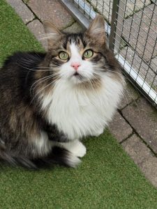 582890845 18029355866751236 216767310940776037 n