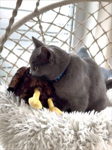 583447262 18030128978751236 4872372492743874910 n