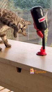 583771071 3859655971002880 7241833679637752448 n