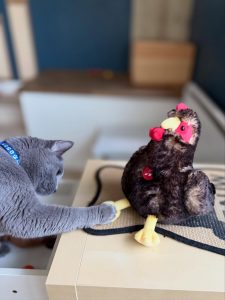 583993789 18029807345751236 3951777069846178033 n