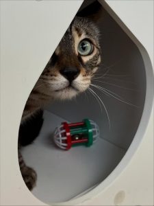 587584990 18030323009751236 8880550806361031615 n