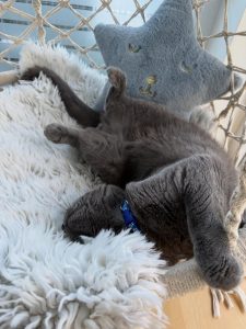 587720790 18030323462751236 7208886532913670103 n