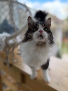 587876351 18030532928751236 7022366930374438918 n