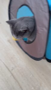 588394134 18030832778751236 5358883415854743144 n