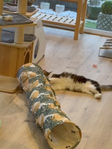 588433184 18030274580751236 6373952949316236790 n