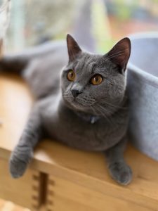 589464944 18030833060751236 8053400351160858617 n