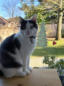 608813285 18034289423751236 8583673538556472560 n