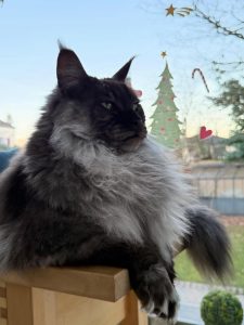 608868212 18034436921751236 3113419007531169160 n