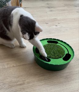 609213229 18034452353751236 9063389080980259128 n