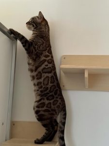 609214049 18034434089751236 2657241066141980823 n