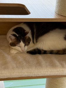 609930228 18034702529751236 7802280644262015137 n