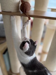 609941615 18034701395751236 4337742052910036148 n