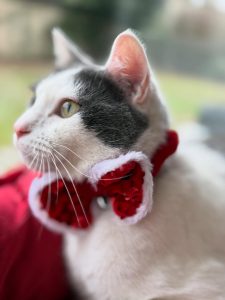 610017952 18034414631751236 4955502961332384890 n