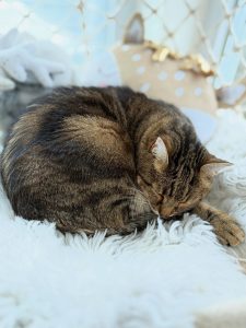 610465988 18034703663751236 5570965437930773469 n