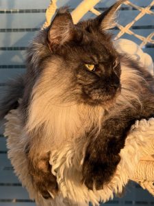 610617192 18034912967751236 5133687019819682850 n