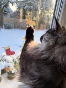 611634633 18035139647751236 3322656928856961050 n