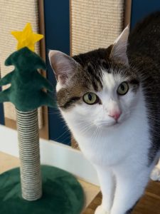 612058649 18035027297751236 4061593879880563523 n