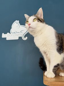 612117545 18035286659751236 3131869394835168447 n