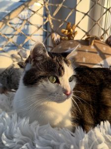 612119588 18035140133751236 6255251049016783489 n