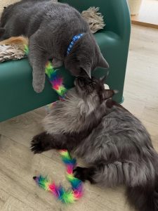 612638685 18035557133751236 8035571626282792849 n