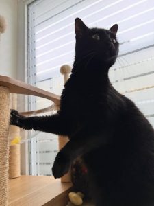 613522820 18035555849751236 9088210287176364148 n