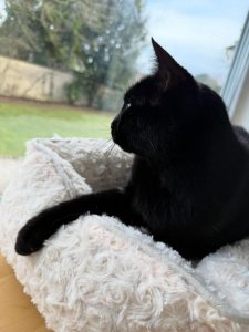 615430159 18035877569751236 5904512380554197013 n