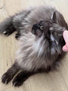 615870745 18035771462751236 68971843714004848 n