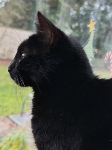 617570617 18036200306751236 6619352168686430429 n