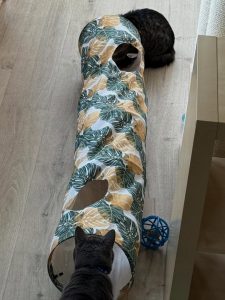 619483440 18036437360751236 4926022206101431103 n