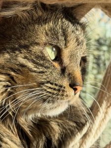 619512282 18036550037751236 673348142581725439 n