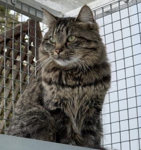 619606655 18036436832751236 2485496781682177409 n