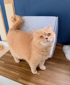 628269960 18038378855751236 4554887846428361054 n