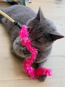 630175698 18038592209751236 8980457648430026901 n