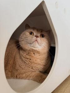 631544131 18038795126751236 8054325066447136171 n