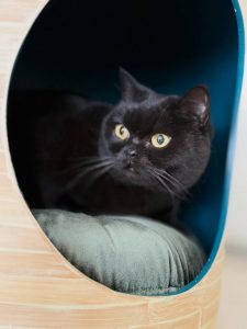 633685384 18039012896751236 3625788271460172880 n