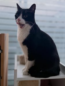 635178966 18039792881751236 4836667740705592267 n