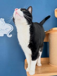 639492294 18040005437751236 6993678499825903727 n