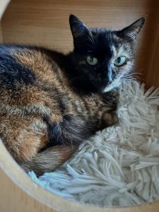 639937969 18040129355751236 8548925802527660655 n