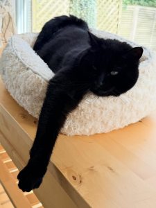 640200332 18040358576751236 290524842376769439 n